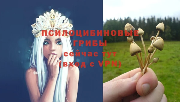 ECSTASY Абаза