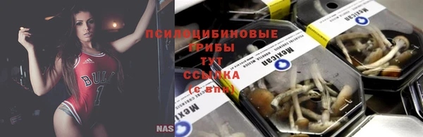 ECSTASY Абаза