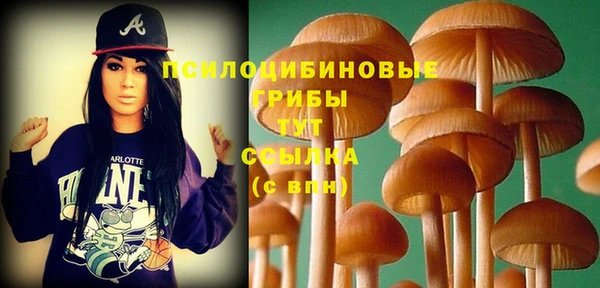 не бодяженный Абинск