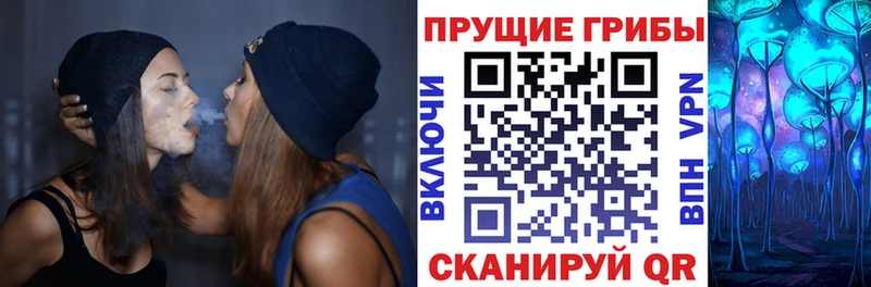 наркота  Невельск  Псилоцибиновые грибы Magic Shrooms 